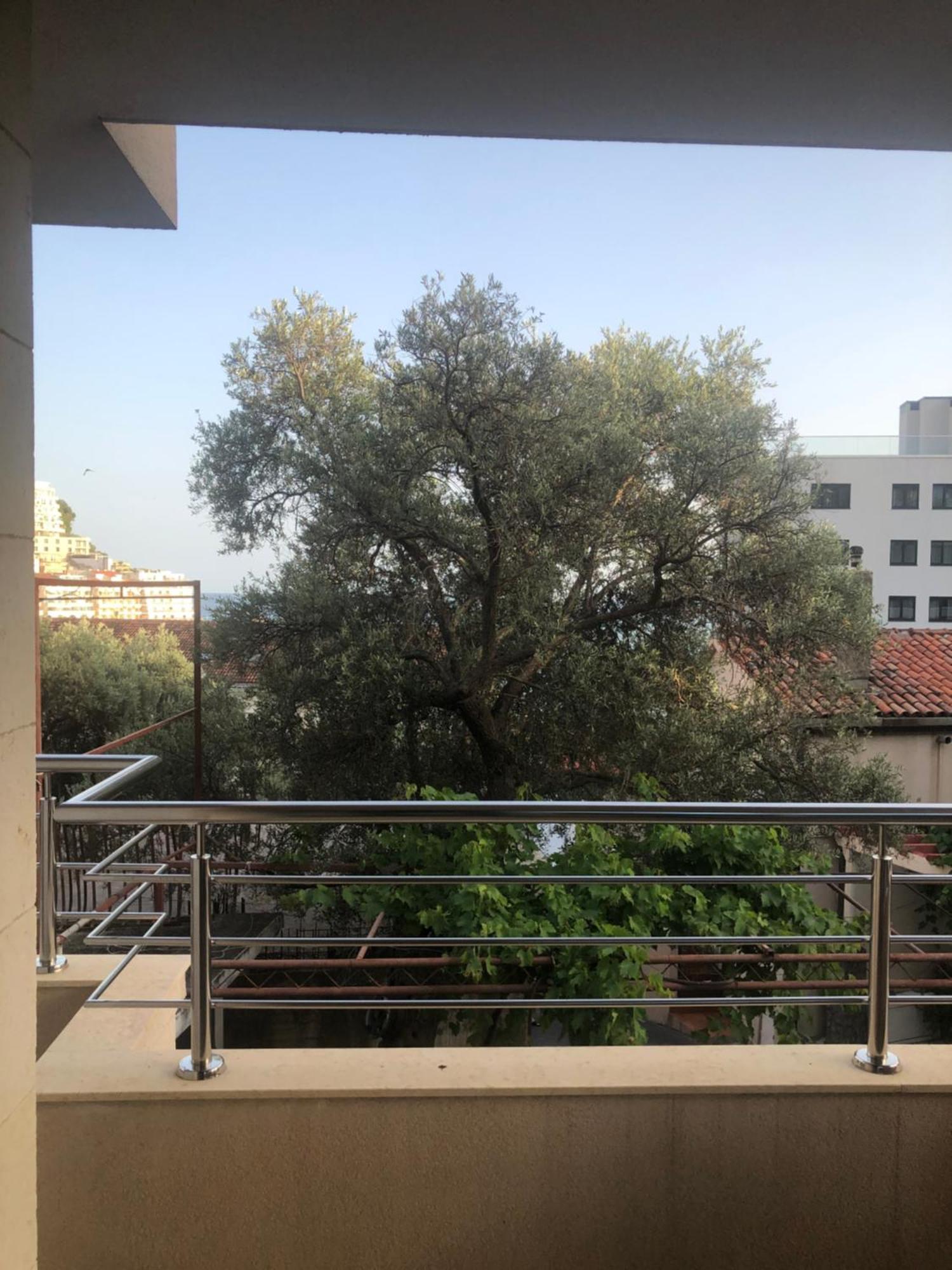 Apartments Rafailović Ljubo Rafailovići Zewnętrze zdjęcie